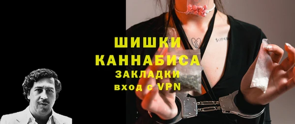 ПСИЛОЦИБИНОВЫЕ ГРИБЫ Лабытнанги