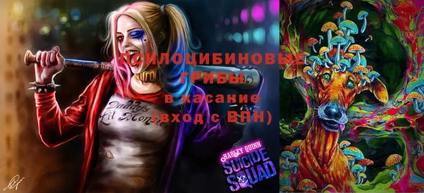 apvp Лагань