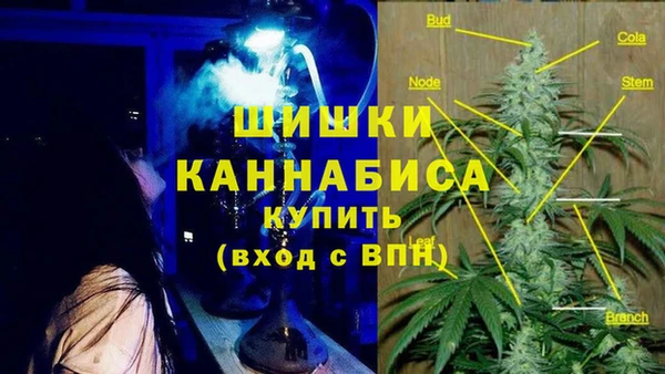 ПСИЛОЦИБИНОВЫЕ ГРИБЫ Лабытнанги