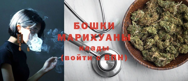 ПСИЛОЦИБИНОВЫЕ ГРИБЫ Лабытнанги