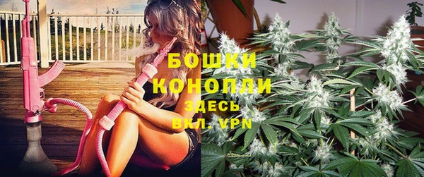 ПСИЛОЦИБИНОВЫЕ ГРИБЫ Лабытнанги
