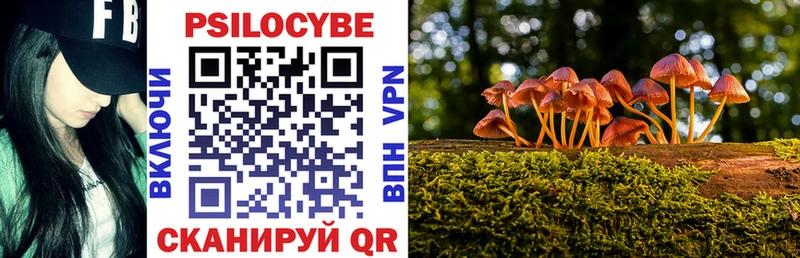 Псилоцибиновые грибы Magic Shrooms  Купить где  Яранск 